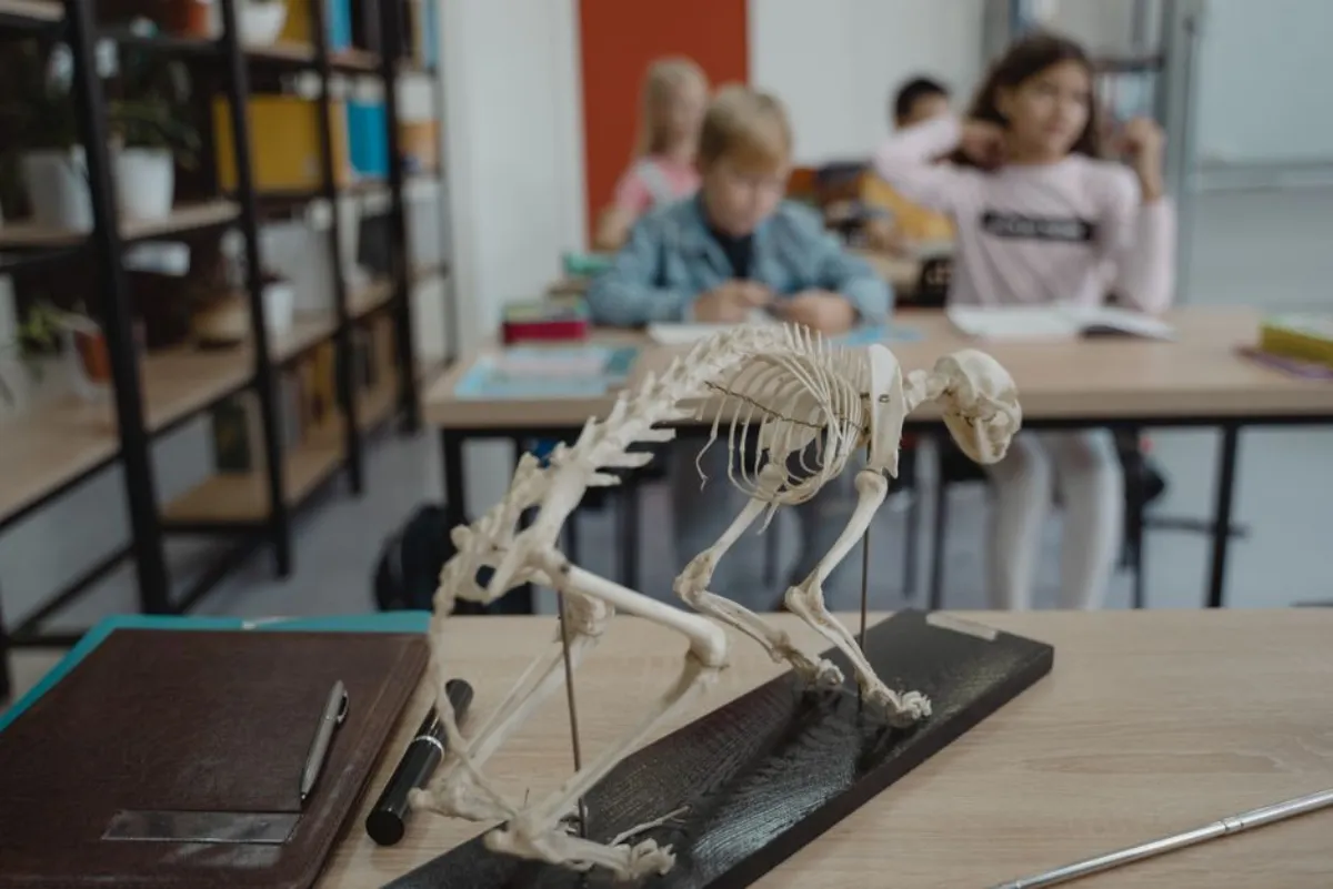 anime classroom