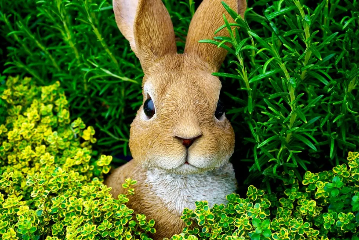 Peter Rabbit